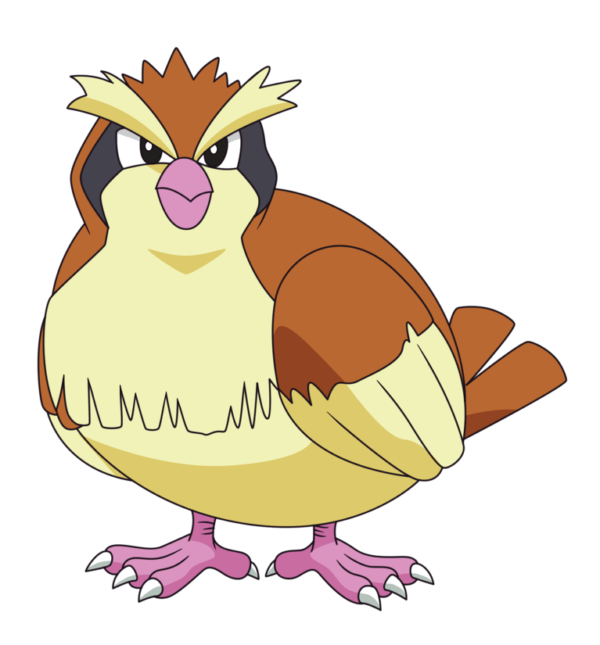 evolucion-de-pidgey-pichon